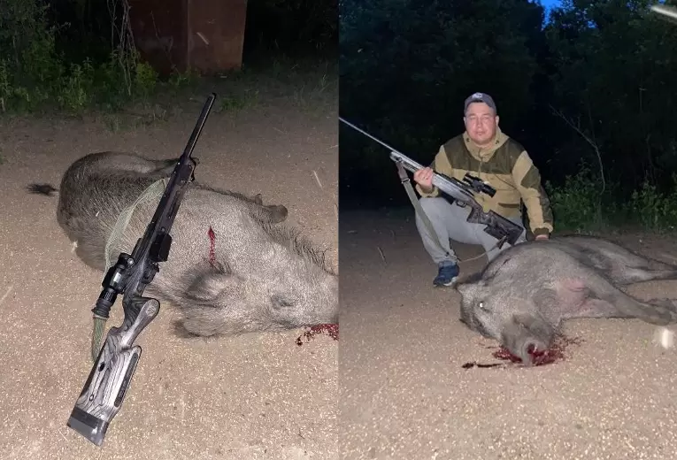 кабан с подхода.jpg кабан с подхода.jpg